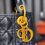 کیف لیدی دیور ۲۲×۲۵