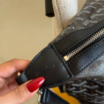 Goyard travel bag