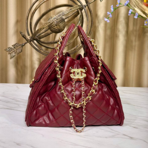 CHANEL 25 Small Handbag